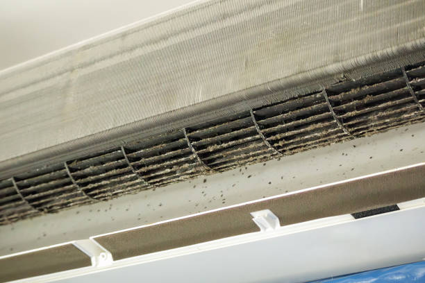 Best Air Duct Cleaning Near Me  in Maple Heights Lake Desire, WA